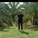 ���������� ��������� ������, ���� ������� ����, 33 ����, ������������ ��� ������, ����� � ���������