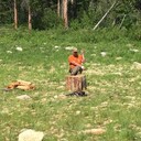  ,   , 45 ,   c 