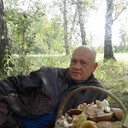  -,   , 51 ,   ,   , 