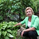 ���������� �����, ���� ������� ����, 56 ���, ������������ ��� ����� � ���������, c�������� ���������