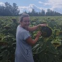 ���������� �����, ���� ������� �����, 40 ���, ������������ ��� c�������� ���������