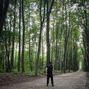 ���������� ������, ���� ������� ���, 31 ���, ������������ ��� ������, ����� � ���������