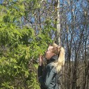 ���������� ������, ���� ������� ��������, 29 ���, ������������ ��� ����� � ���������, c�������� ���������