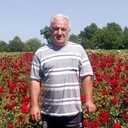  ,   , 64 ,   ,   , 