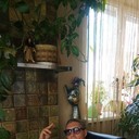  ,   , 49 ,   ,   , c 