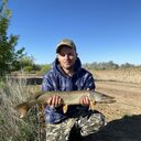 ���������� �����-���������, ���� ������� ������, 29 ���, ������������ ��� ������, ����� � ���������, c�������� ���������, ���������