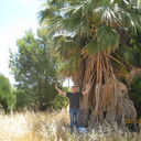 ���������� �����������, ���� ������� VIKTOR, 58 ���, ������������ ��� ������, ����� � ���������, c�������� ���������