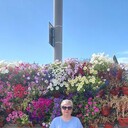 ���������� ���������, ���� ������� �������, 67 ���, ������������ ��� ������, ����� � ���������, ���������