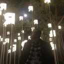 ���������� ����, ���� ����� ����, 24 ����, ������������ ��� ������, ����� � ���������