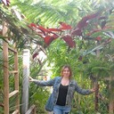 ���������� �������, ���� ������� �������, 41 ���, ������������ ��� ����� � ���������, c�������� ���������