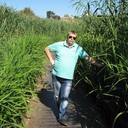 ���������� �������������, ���� ������� ������, 38 ���, ������������ ��� ������