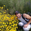 ���������� �����, ���� ������� ������, 37 ���, ������������ ��� ����� � ���������, c�������� ���������