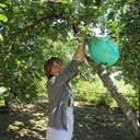  ,   , 39 ,   ,   , c 