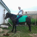 ���������� �����������, ���� ������� DAG, 38 ���, ������������ ��� ������, ����� � ���������, c�������� ���������