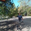  ,   , 66 ,   