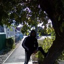 ���������� ������, ���� ������� ����, 43 ����, ������������ ��� ������, ����� � ���������, c�������� ���������