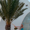 ���������� ������, ���� ������� �������, 46 ���, ������������ ��� ������, ����� � ���������, c�������� ���������