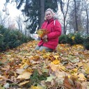  ,   Netel, 30 ,     , c 