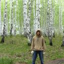 ���������� �������, ���� ������� ��������, 33 ����, ������������ ��� ����� � ���������, c�������� ���������