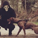 ���������� ���������, ���� ������� ����, 32 ����, ������������ ��� ������, ����� � ���������, c�������� ���������