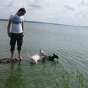 ���������� �����, ���� ������� ������, 39 ���, ������������ ��� ������