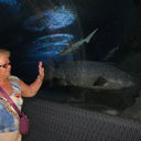 ���������� ��������, ���� ������� �������, 72 ����, ������������ ��� ����� � ���������, c�������� ���������