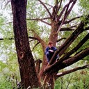  ,   , 51 ,     , c 