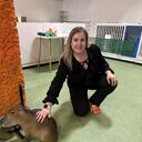 ���������� �������, ���� ������� ����, 35 ���, ������������ ��� c�������� ���������