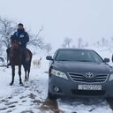  ,   Zaur, 27 ,   ,   