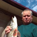  ,   , 62 ,   ,   