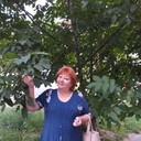  ,   , 58 ,   ,   , c 