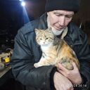 ���������� ������, ���� ������� ��������, 71 ���, ������������ ��� ������, ����� � ���������