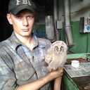  ,   , 33 ,     , c , 