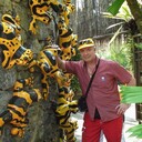  ,   , 61 ,   , c , 