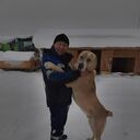  ,   , 51 ,   ,   , c , 