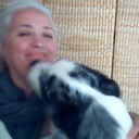  ,   Lili, 53 ,   ,   , c 