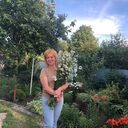 ���������� ������, ���� ������� �������, 51 ���, ������������ ��� ������, ����� � ���������