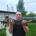   ,   , 59 ,   ,   