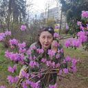 ���������� ������, ���� ������� ���, 65 ���, ������������ ��� ������, ����� � ���������