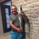 ���������� ������, ���� ������� ��������, 40 ���, ������������ ��� c�������� ���������