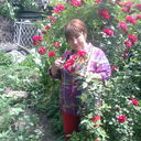 ���������� ������, ���� ������� �����, 51 ���, ������������ ��� ������, ����� � ���������, c�������� ���������