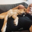 ���������� ���, ���� ������� ����, 44 ����, ������������ ��� ������, ����� � ���������