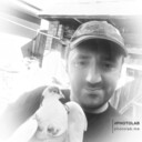   ,   , 41 ,   ,   , c 