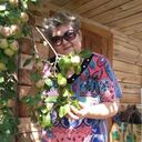 ,   , 65 ,     , 