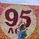 ���������� �����, ���� ������� �����, 37 ���, ������������ ��� ����� � ���������, c�������� ���������