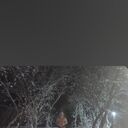 ���������� ����������, ���� ������� Alexander, 36 ���, ������������ ��� ������, ����� � ���������