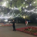  ,   , 31 ,   ,   