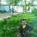  ,   Vitoss, 41 ,   ,   , c 