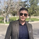  ,   Wolf, 41 ,   ,   , 