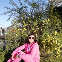  ,   , 63 ,   ,   , c 
